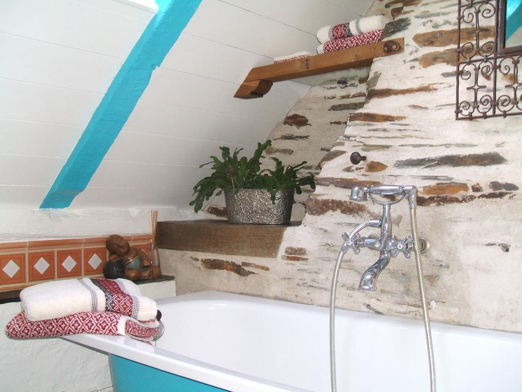 Le Petit Logis De Tinteniac Angers Rum bild